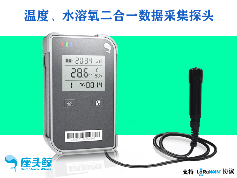 水溶氧溫度二合一可視鯨鏢系列數(shù)據(jù)采集傳感器