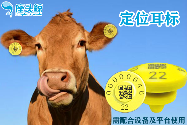 智慧養殖育肥定位電子耳標 防拆